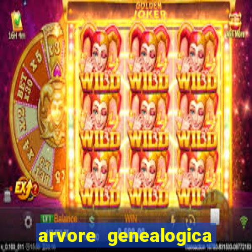 arvore genealogica dos gracie